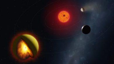 宇宙驚現「臭雞蛋地獄星」!35光年外熔岩行星顛覆分類 科學家:可能是全新世界型態 4 L 98-59 d 繞行其母恆星紅矮星 L 98-59 的藝術示意圖。(圖/Mark A. Garlick / markgarlick.com)