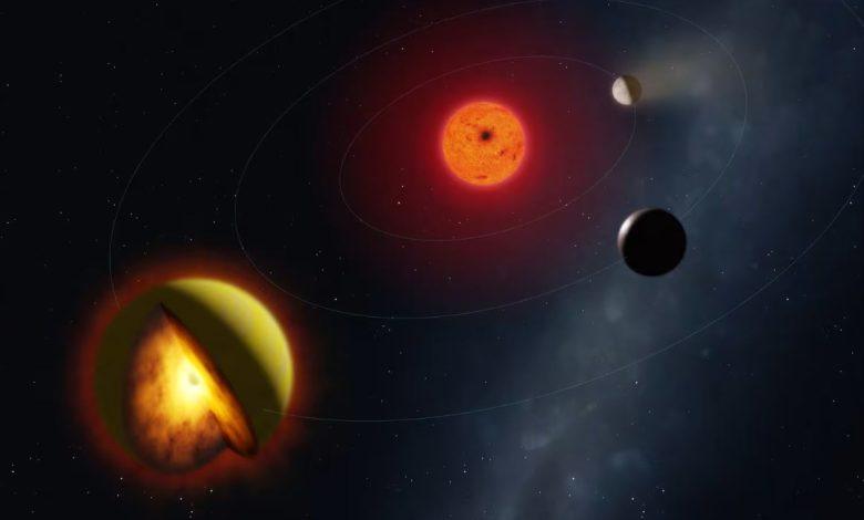 L 98-59 d 繞行其母恆星紅矮星 L 98-59 的藝術示意圖。（圖／Mark A. Garlick / markgarlick.com）
