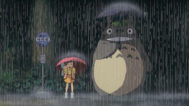 《龍貓》（となりのトトロ）於1988年4月16日首映。日媒指出，日本電視台（Nippon Television）於2023年收購了吉卜力工作室，使其成為旗下子公司，透過限制觀看次數，持有了稀缺性，「年輕人快不認識龍貓了」。（圖／取自吉卜力工作室官網）