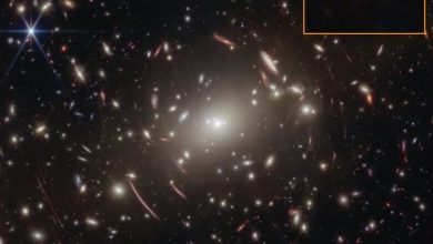 韋伯太空望遠鏡在觀測星系團阿貝爾S1063時，意外取得神秘「小紅點」GLIMPSE-17775的詳細光譜資料。（圖／NASA/ ESA/ CSA/ Vasily Kokorev (UT Austin)