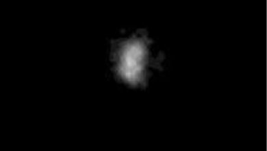 Nereid（奈瑞伊德） 是海王星衛星，1949年發現。旅行者2號於1989年拍攝影像，顯示其直徑約170公里，表面反光約12%。（圖／取自NASA Science）