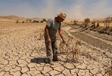 聯合國兒童基金會（UNICEF）發布報告指出，全球幾乎所有兒童都暴露於至少一種氣候災害風險之中，其中多達18億名兒童受到乾旱威脅。（圖／AI生成）