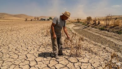 聯合國兒童基金會（UNICEF）發布報告指出，全球幾乎所有兒童都暴露於至少一種氣候災害風險之中，其中多達18億名兒童受到乾旱威脅。（圖／AI生成）