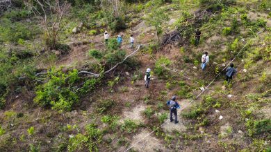 緯創攜手永在林業 全台首件加強森林經營碳匯專案環境部審議通過 5 下載