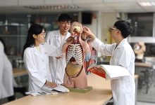 此研究初步證實了腸道菌相與大腦健康的關聯性，至於其中的因果機制與作用，則有待後續追蹤研究釐清