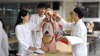 此研究初步證實了腸道菌相與大腦健康的關聯性，至於其中的因果機制與作用，則有待後續追蹤研究釐清