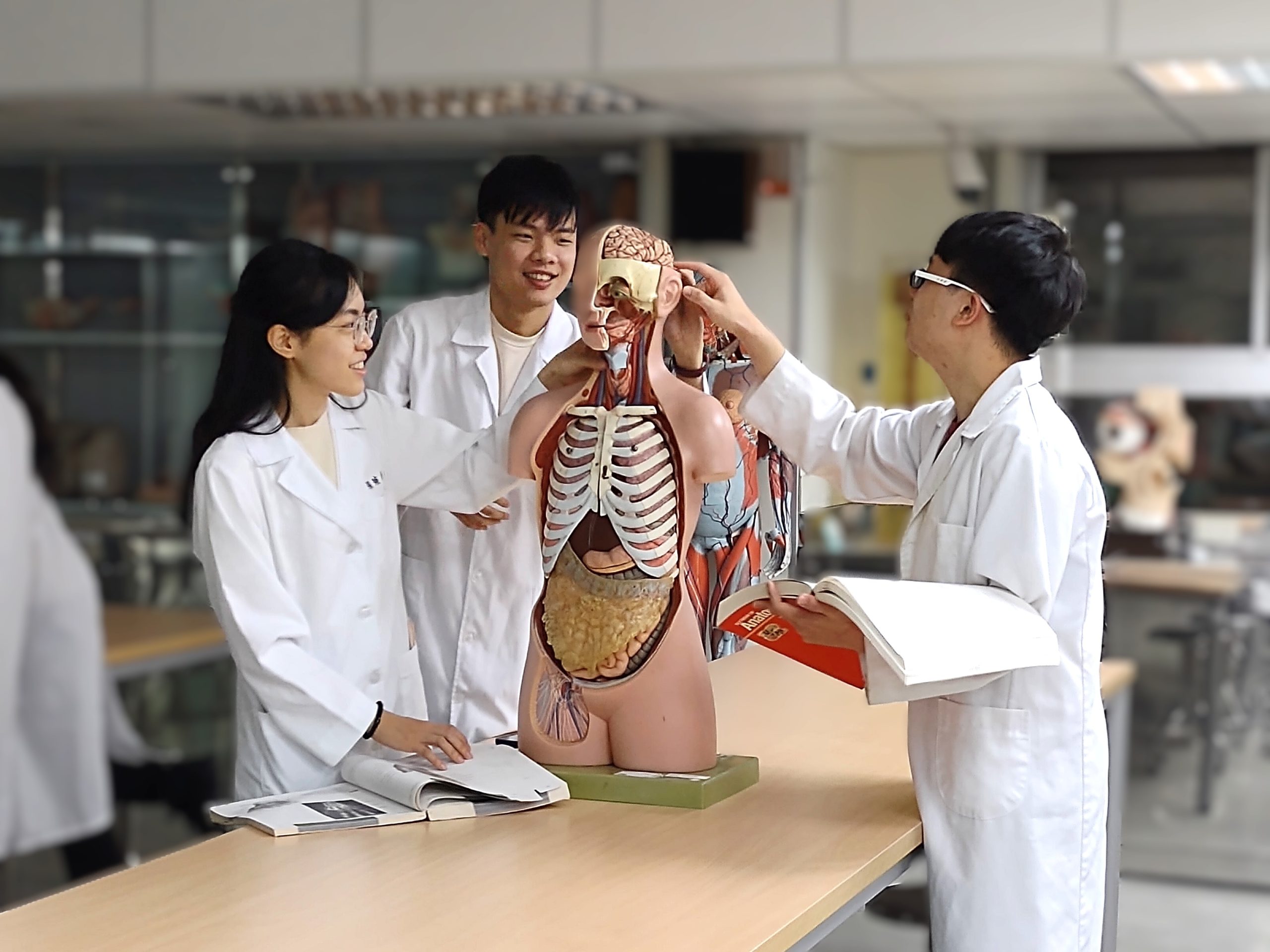 此研究初步證實了腸道菌相與大腦健康的關聯性，至於其中的因果機制與作用，則有待後續追蹤研究釐清 scaled