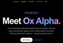一款名為OxAlpha的神秘新AI模型，近日在網路部分社群掀起大量猜測，外界紛紛試圖找出究竟是哪家公司或團隊打造了這款模型。（圖˙／截自OxAlpha）