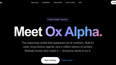 一款名為OxAlpha的神秘新AI模型，近日在網路部分社群掀起大量猜測，外界紛紛試圖找出究竟是哪家公司或團隊打造了這款模型。（圖˙／截自OxAlpha）