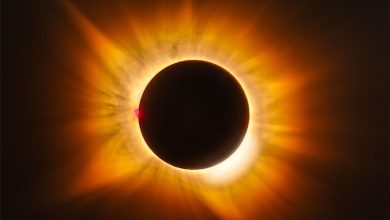 太陽變金色了?日全食驚見「黃金日冕」 NASA揭開罕見天象真相 3 西班牙日全食期間,太陽日冕罕見呈現金黃色。由於太陽接近地平線,陽光穿過較厚的大氣,加上附近森林火災煙霧進一步散射藍光,使金色調更加明顯;太陽左側的氫發光日珥則維持亮粉紅色。(圖/NASA)