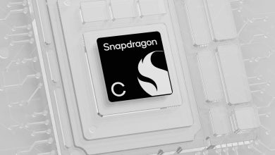 Qualcomm Snapdragon C Chip 1