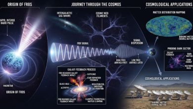 快速電波爆成宇宙探測新利器 助解暗物質與星系演化謎團 5 快速電波爆從神秘的宇宙現象,逐漸成為研究宇宙的重要工具。(圖/AI生成)