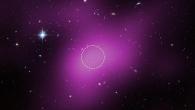 宇宙真的有「無星系」?Cloud-9再現新證據 3 Cloud-9距離地球約1,400萬光年。洋紅色區域為甚大天線陣列(VLA)的無線電觀測資料,虛線圓圈標示無線電訊號最強處。哈伯太空望遠鏡後續觀測未發現Cloud-9內有恆星,圖中少數天體則是背景星系。(圖/NASA Science)