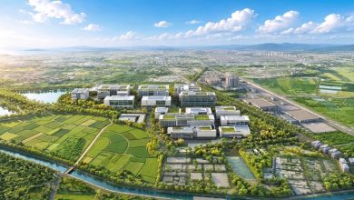 白埔先進封裝設備布局啟動!搶攻後摩爾商機 打造半導體在地供應鏈 5 白埔產業園區將成為南部半導體S廊帶下一階段發展的重要節點。(圖/高雄市政府提供)