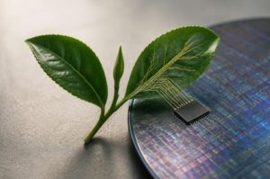 從茶葉到晶片,臺灣下一座護國神山需要什麼樣的人才?|專家論點【郭啟全】 1 從茶葉萌芽到晶片發光,人才扎根臺灣未來之示意圖 。(圖/郭啟全提供)