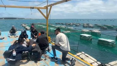 2.OceanEye AI團隊與澎湖養殖業者合作完成實際場域驗證並有展現良好成效。圖為團隊跟隨離岸養殖業者出海，將「多模態智慧監測與養殖決策平台」實際導入箱網養殖場域。